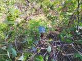 Lots 1 & 2 Wilderness Ridge Rd - Photo 7