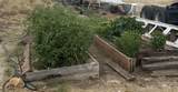 510 Ontario Heights Rd - Photo 27