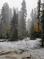 1714 Grouse Trail - Photo 19
