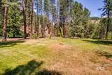 14 Cougar Ln - Photo 47