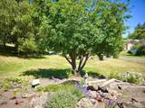 308 Frank Street - Photo 24