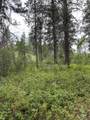 Lot 165b Johnson Creek - Photo 6