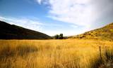 1550 Thousand Springs Rd - Photo 4