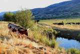 TBD Sweet-Ola Hwy - Photo 13