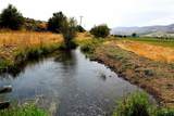 TBD Sweet-Ola Hwy - Photo 17