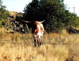 TBD Sweet-Ola Hwy - Photo 26
