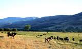 TBD Sweet-Ola Hwy - Photo 27
