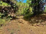 TBD Ridgeview Pl-Lot 77 - Photo 17