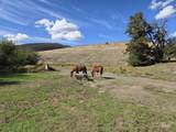 13761 Asotin Creek Rd - Photo 9