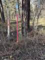 Lot 1 Lane C - Photo 6