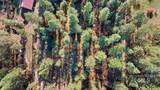 Lot 28 Horseshoe Rd - Photo 20