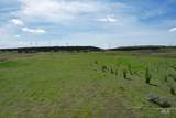 73809 Rattlesnake Road - Photo 12