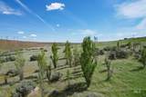 73809 Rattlesnake Road - Photo 13