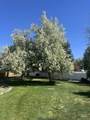 2450 Julie Lane - Photo 5