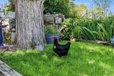 603 King Rd - Photo 8