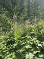 Lot 165b Johnson Creek - Photo 12