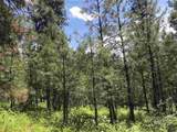 Lot 2 Card Creek, Casey Estates#3 - Photo 16
