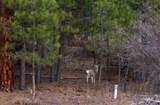 Lot 1 Card Creek, Casey Estates#3 - Photo 5