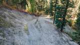 10 Crocus Ct. - Photo 5