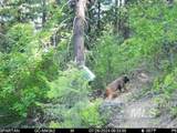 1522 Alpine Dr - Photo 46