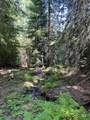 1522 Alpine Dr - Photo 48