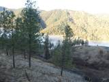 1408 Carrot Ridge Road - Photo 10