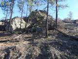1408 Carrot Ridge Road - Photo 11