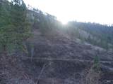 1408 Carrot Ridge Road - Photo 16
