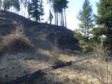 1408 Carrot Ridge Road - Photo 21