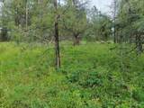 TBD Jackpine Rd - Photo 10