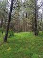 TBD Jackpine Rd - Photo 26