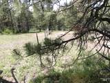 TBD Jackpine Rd - Photo 29