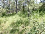 TBD Jackpine Rd - Photo 33