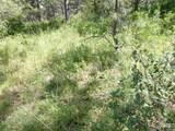 TBD Jackpine Rd - Photo 34