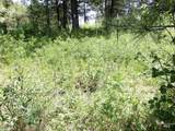 TBD Jackpine Rd - Photo 35