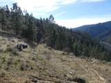 1404 Carrot Ridge Road - Photo 24