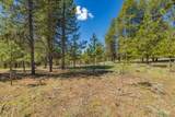 435 Wilhelm Creek Court - Photo 4