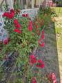 15881 Purple Sage Rd - Photo 21