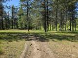 3871 Lakeview Road - Photo 47