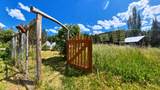 1401 Forks Rd - Photo 35