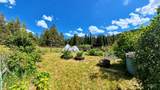 1401 Forks Rd - Photo 36