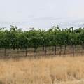 TBD Homedale Rd - Photo 6