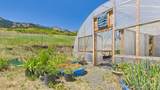 146 Hammer Creek Rd - Photo 38