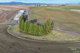 1040 Driscoll Ridge Rd - Photo 5