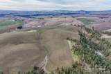 1040 Driscoll Ridge Rd - Photo 6
