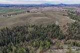 1040 Driscoll Ridge Rd - Photo 8