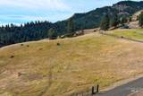 161 Saddle Ridge Road - Photo 15