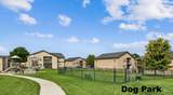 11187 Brassy Cove Loop - Photo 23