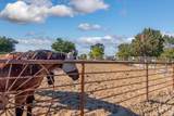 561 Mausling Rd - Photo 38