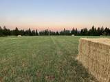 170 Wildflower Way - Photo 45